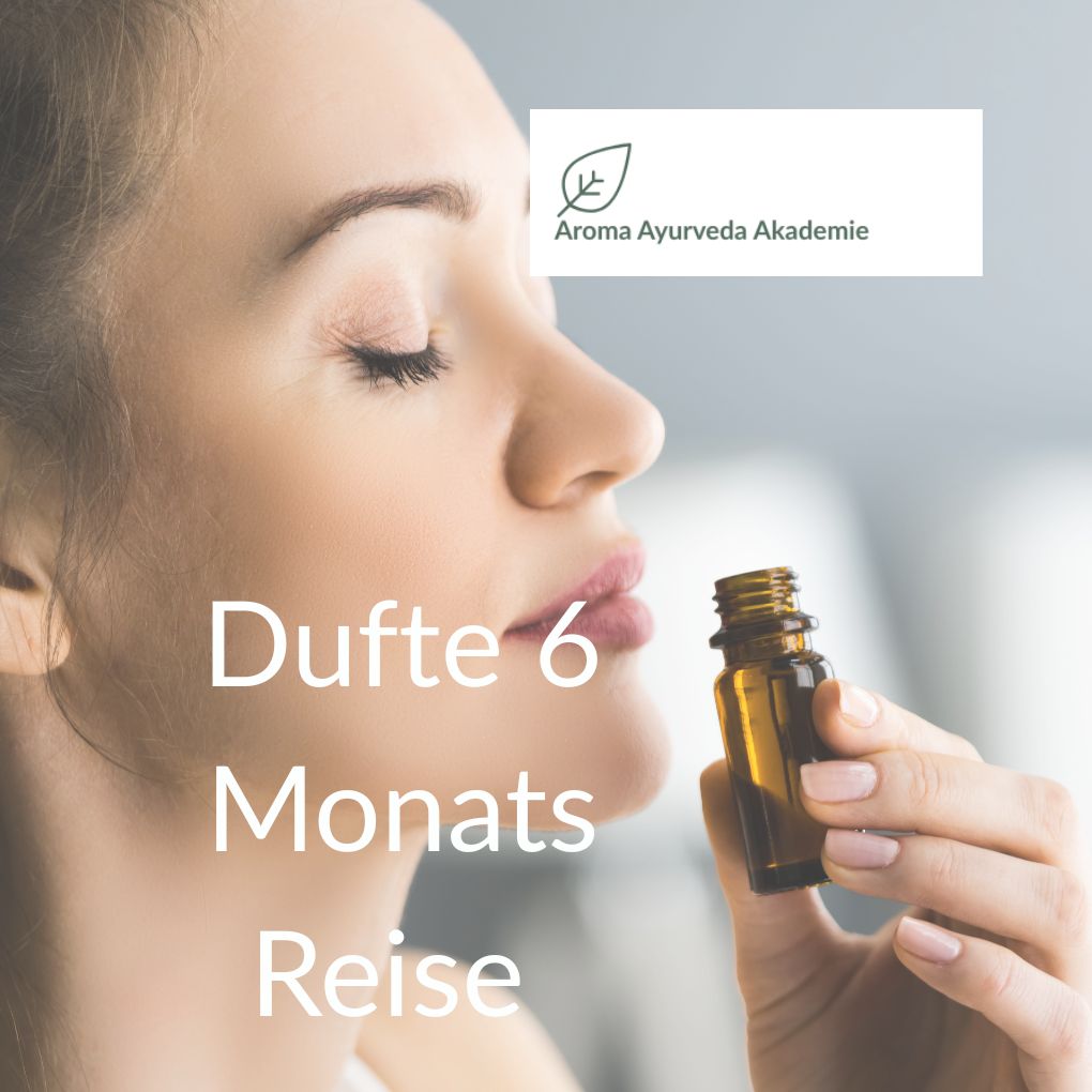 1 x mtl. Zoom Aroma Ayurveda "Zurück zum Bauchgefühl"